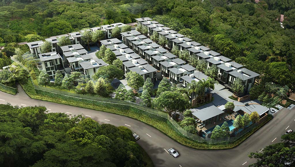aerial view