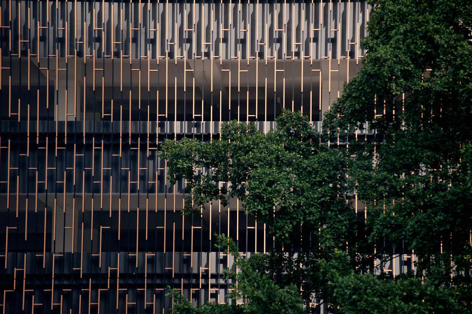 c006-damai-residence-img-09